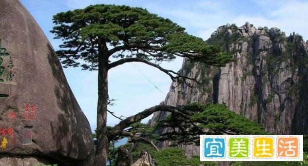 黄山景区回应游客爬一半进退两难，还可以来更多的游客