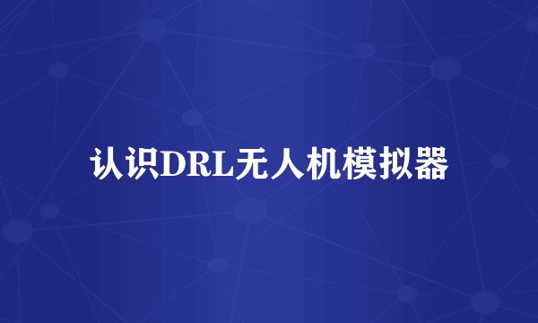 认识DRL无人机模拟器