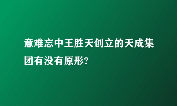 意难忘中王胜天创立的天成集团有没有原形?