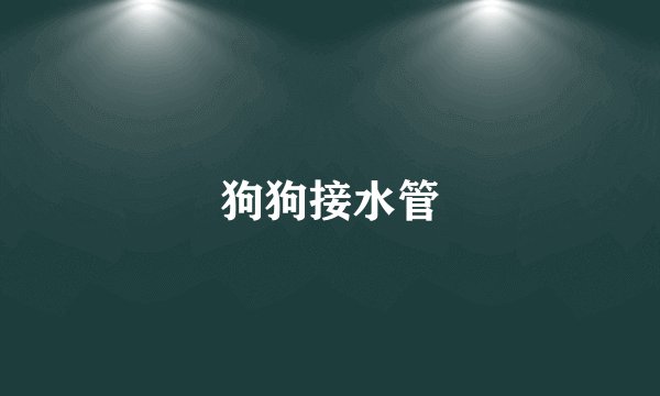 狗狗接水管