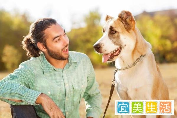 喊出狗比人值钱话的人，孝道被狗夺走了吗？这帽子扣给狗冤不冤