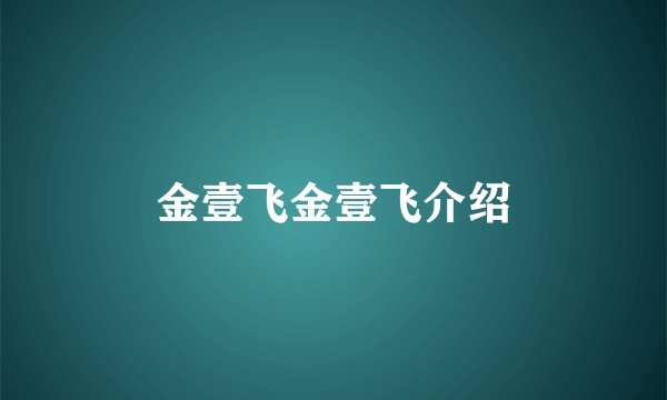金壹飞金壹飞介绍