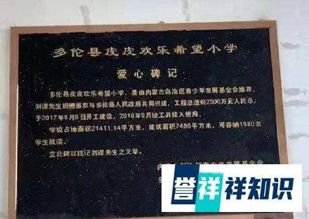 PDD低调投身公益，耗资2500万捐助的希望小学建成，网友点赞！