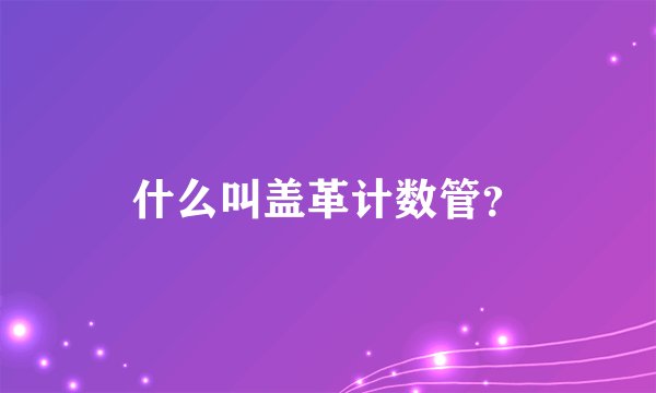 什么叫盖革计数管？