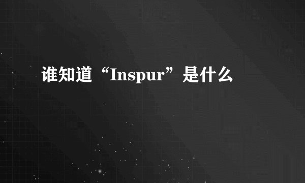 谁知道“Inspur”是什么