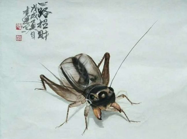 蟋蟀能组什么词？
