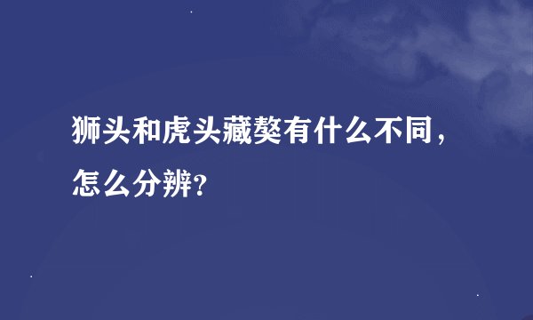狮头和虎头藏獒有什么不同，怎么分辨？