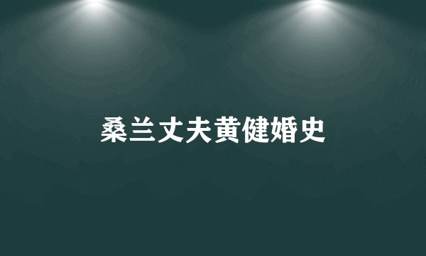 桑兰丈夫黄健婚史
