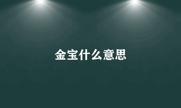 金宝什么意思