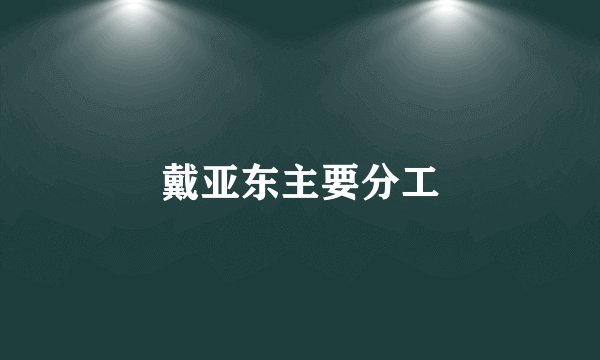 戴亚东主要分工