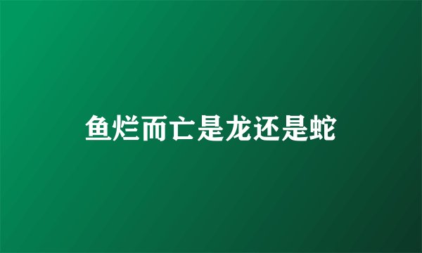 鱼烂而亡是龙还是蛇