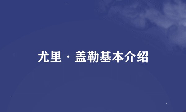 尤里·盖勒基本介绍