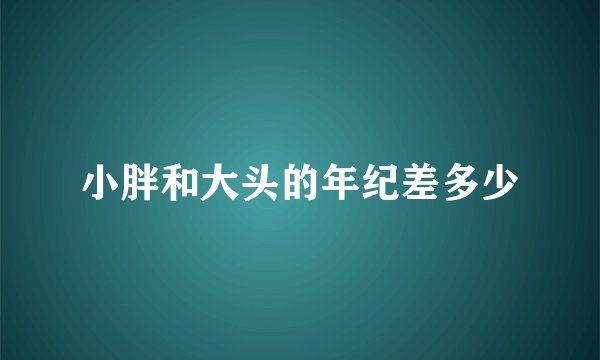 小胖和大头的年纪差多少