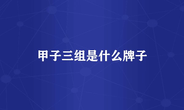 甲子三组是什么牌子