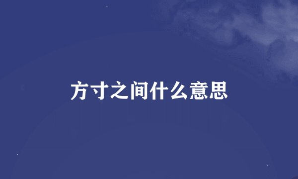 方寸之间什么意思