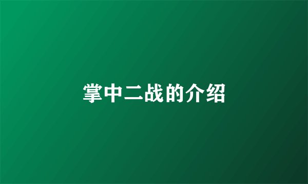 掌中二战的介绍
