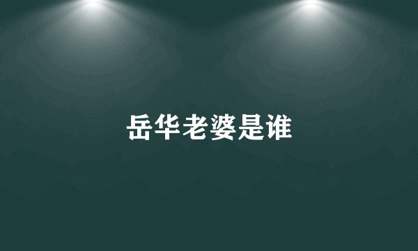 岳华老婆是谁