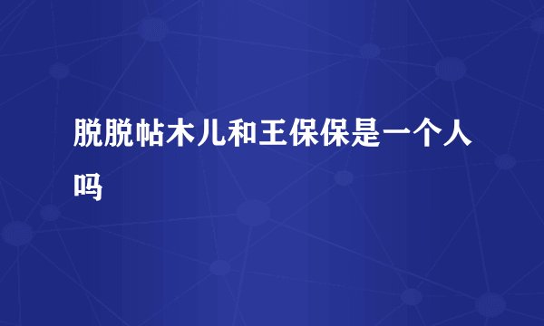 脱脱帖木儿和王保保是一个人吗