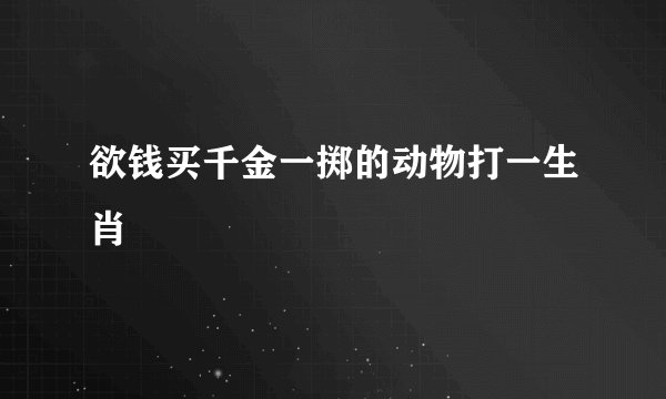 欲钱买千金一掷的动物打一生肖