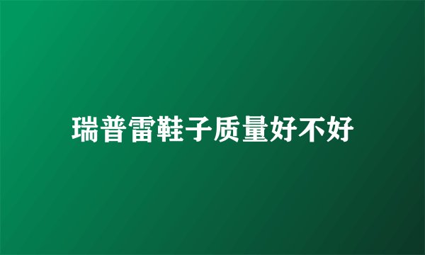 瑞普雷鞋子质量好不好