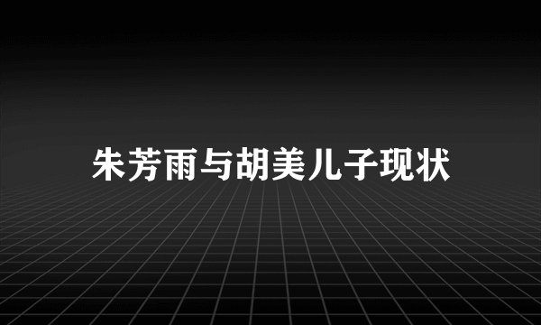 朱芳雨与胡美儿子现状
