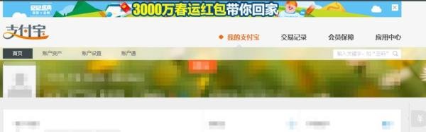 支付宝十年账单日记怎么查
