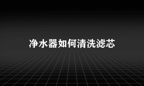 净水器如何清洗滤芯