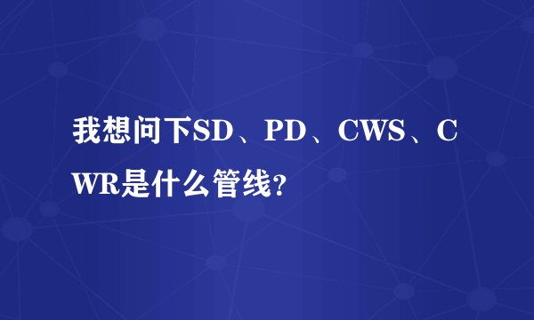 我想问下SD、PD、CWS、CWR是什么管线？