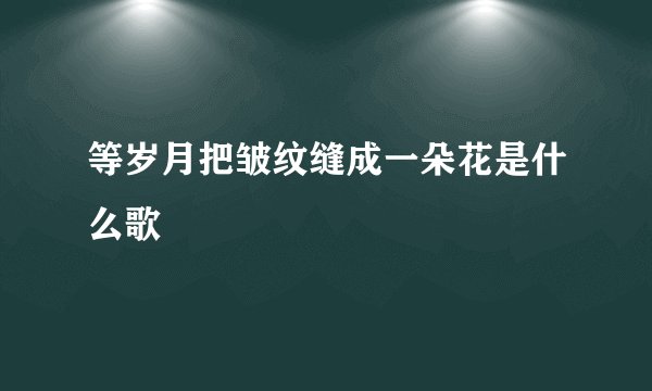 等岁月把皱纹缝成一朵花是什么歌
