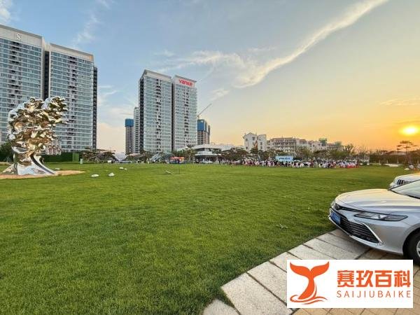 深圳富婆扎堆的地方:财富与生活方式的缩影