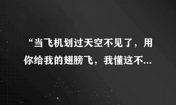 “当飞机划过天空不见了，用你给我的翅膀飞，我懂这不是伤悲，再高都不会累” 谁知道这句话来自哪首歌？