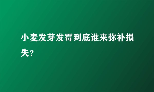 小麦发芽发霉到底谁来弥补损失？