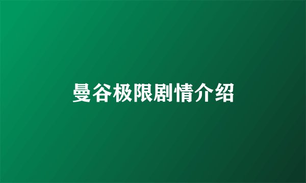 曼谷极限剧情介绍