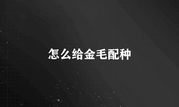 怎么给金毛配种