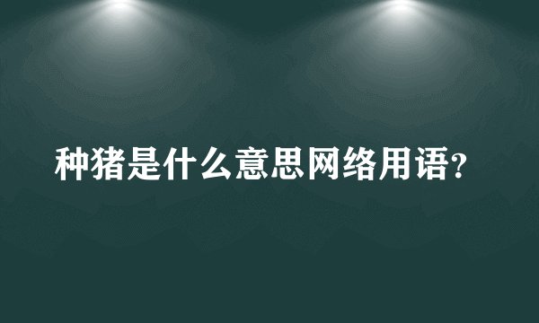 种猪是什么意思网络用语?