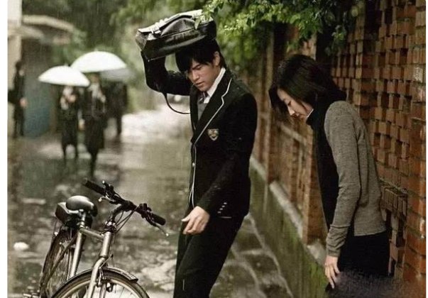 故事的小黄花指什么花？