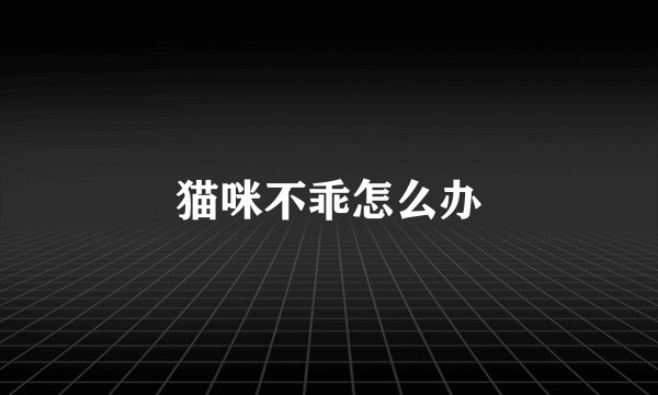 猫咪不乖怎么办