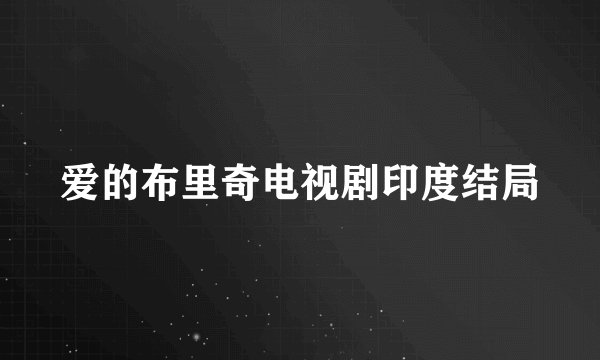 爱的布里奇电视剧印度结局