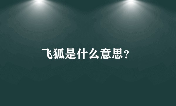 飞狐是什么意思?