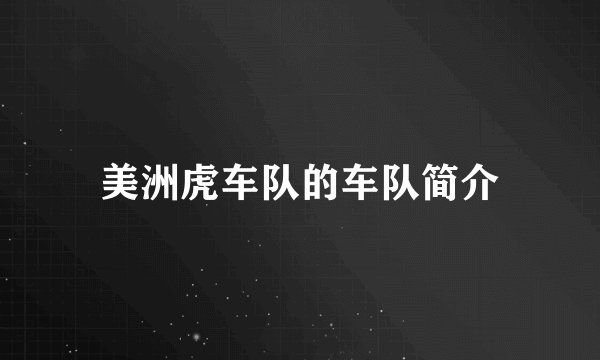 美洲虎车队的车队简介
