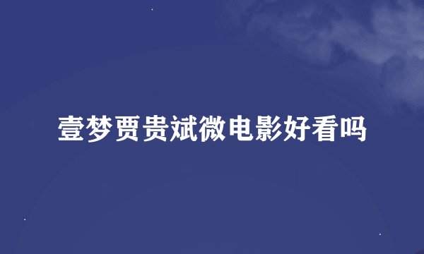 壹梦贾贵斌微电影好看吗