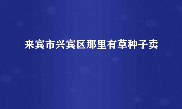 来宾市兴宾区那里有草种子卖