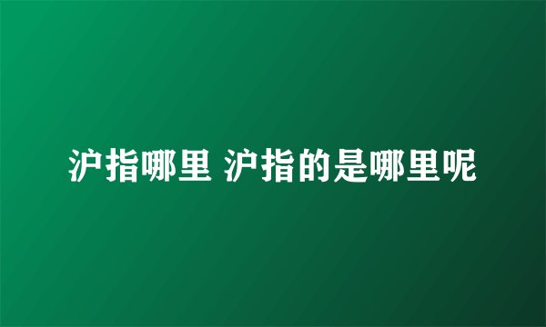 沪指哪里 沪指的是哪里呢