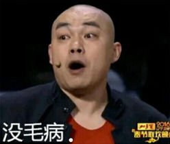 “没毛病”是什么意思？