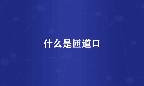 什么是匝道口