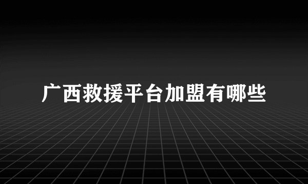 广西救援平台加盟有哪些