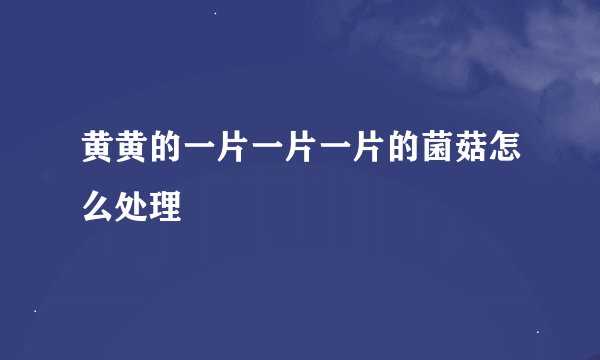 黄黄的一片一片一片的菌菇怎么处理
