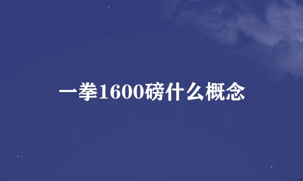 一拳1600磅什么概念