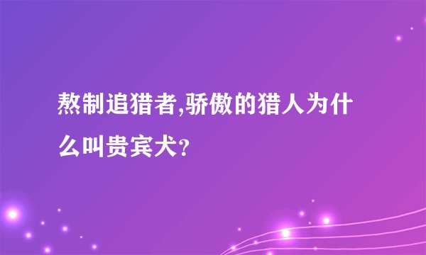 熬制追猎者,骄傲的猎人为什么叫贵宾犬？