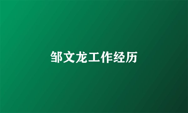邹文龙工作经历